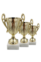 CTS 144 | SET de 3 Cupe Sportive - TrophyShop
